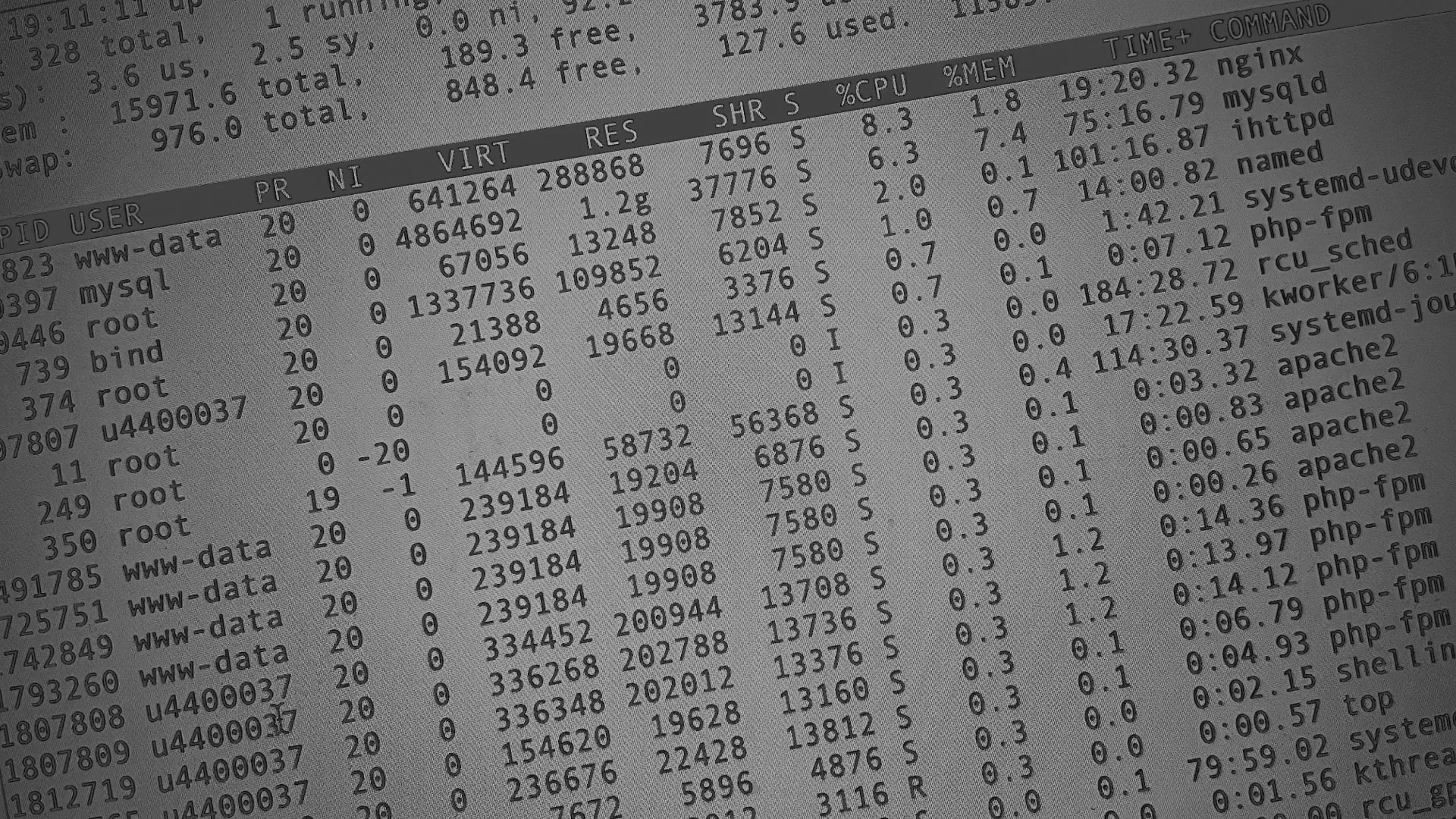 Настройка сервера в Ряжске