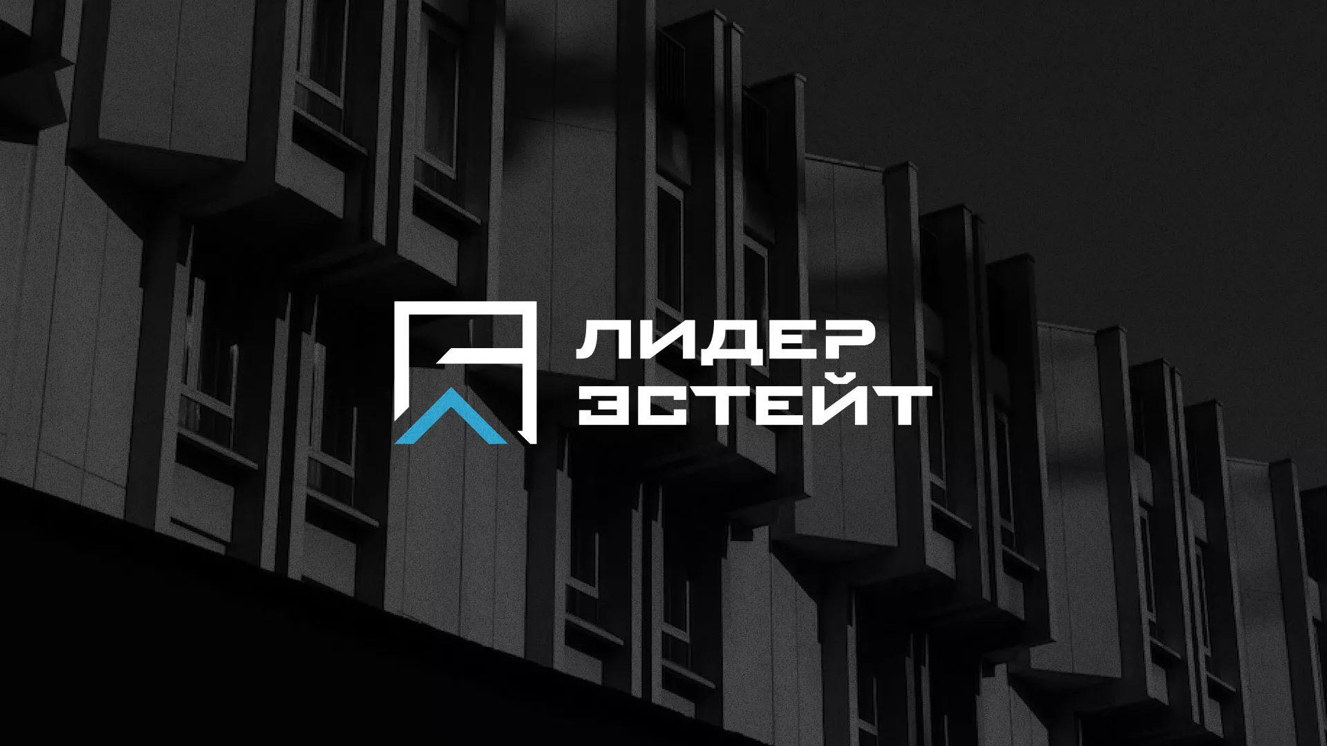 Разработка логотипа агентства недвижимости «Лидер Эстейт» в Ряжске